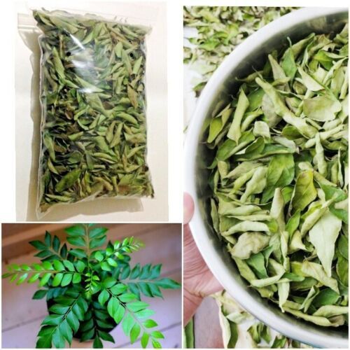 100% Natural Curry Leaves Food Flavoring and Herbal Tea organic 100g