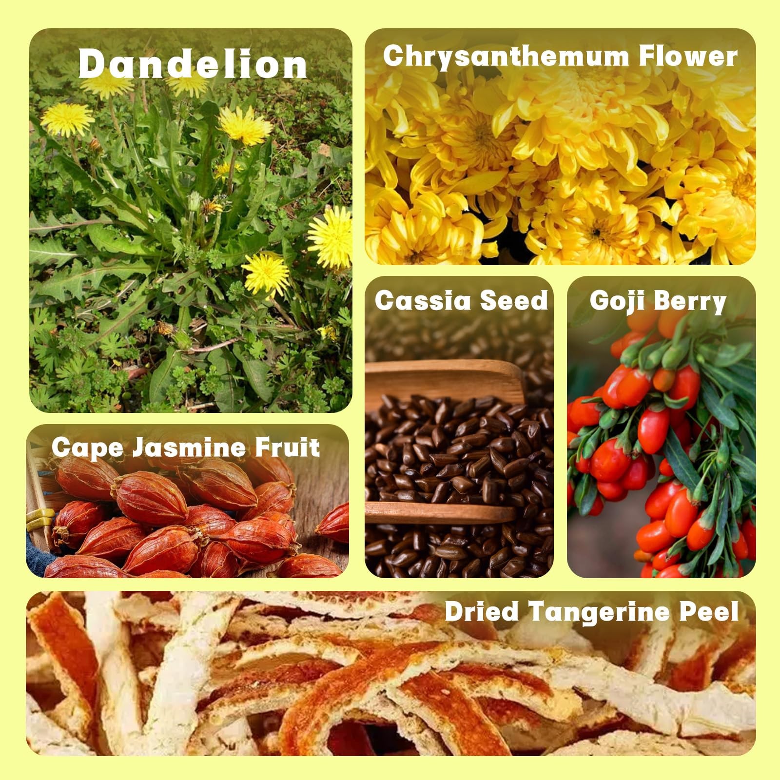 Herbal Dandelion Goji Berry Tea for Kidney & Liver Health – 12 Bags 120g