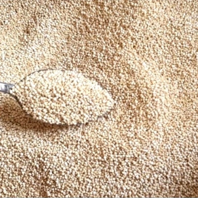 Organic White Quinoa 100g Culinary Ingredient For Cooking Global Pantry Staple