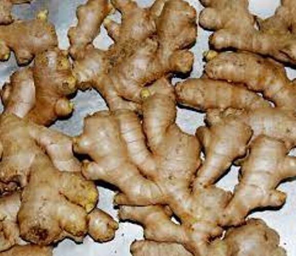 Dried Ginger Root Slices Spice Food Grade Natural Organic Pure Zingiber Officina