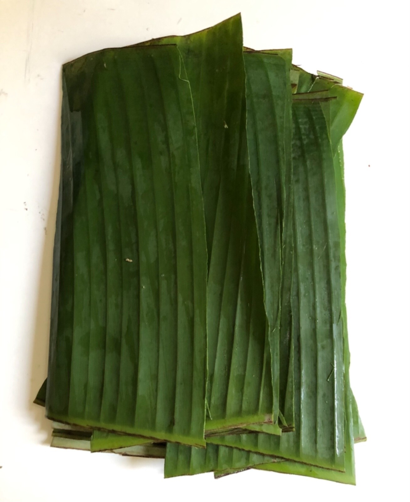 FRESH BANANA LEAVES FOR WRAPPING & COOKING, FOOD SERVING,FOR FISH AQUARIUM 2 LBS