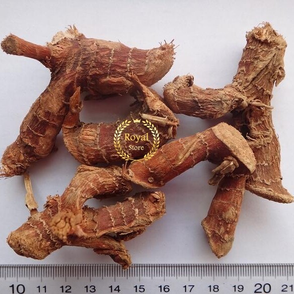 150Grams Dried Galangal Whole Roots Alpinia Natural Spice – خلنجان خولجان