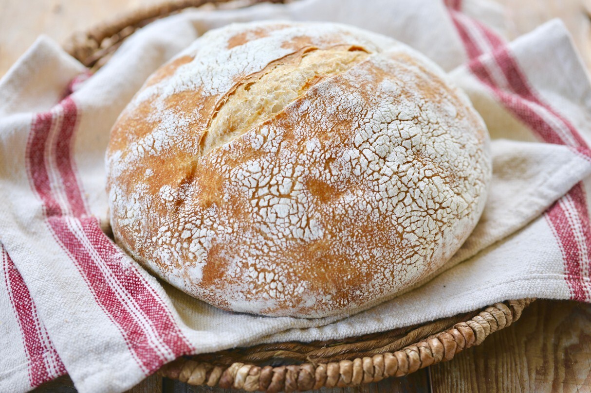 Sourdough Starter San Francisco Heritage Dehydrated Organic – 15 Gram Bag