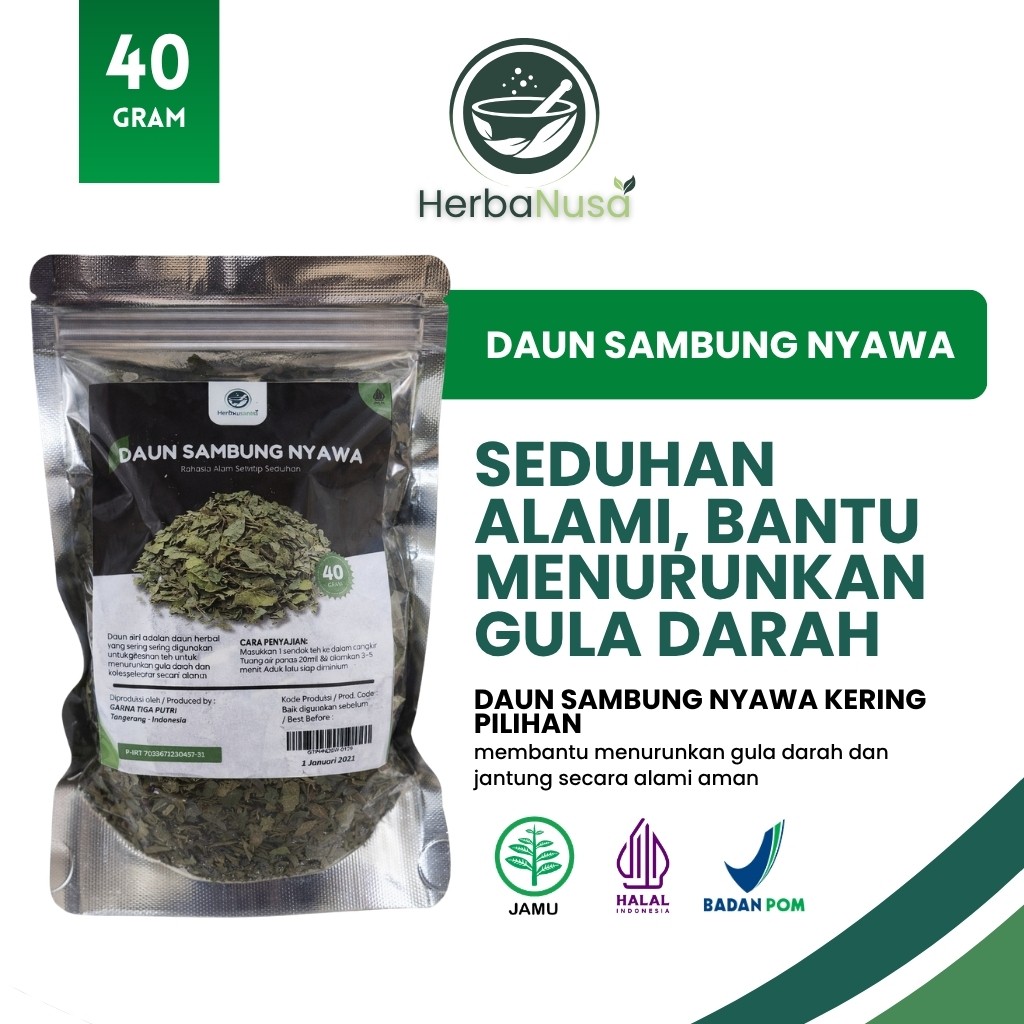 Dried Sambung Nyawa Leaf 40 Gram Botanical Herbal Infusion Ingredient