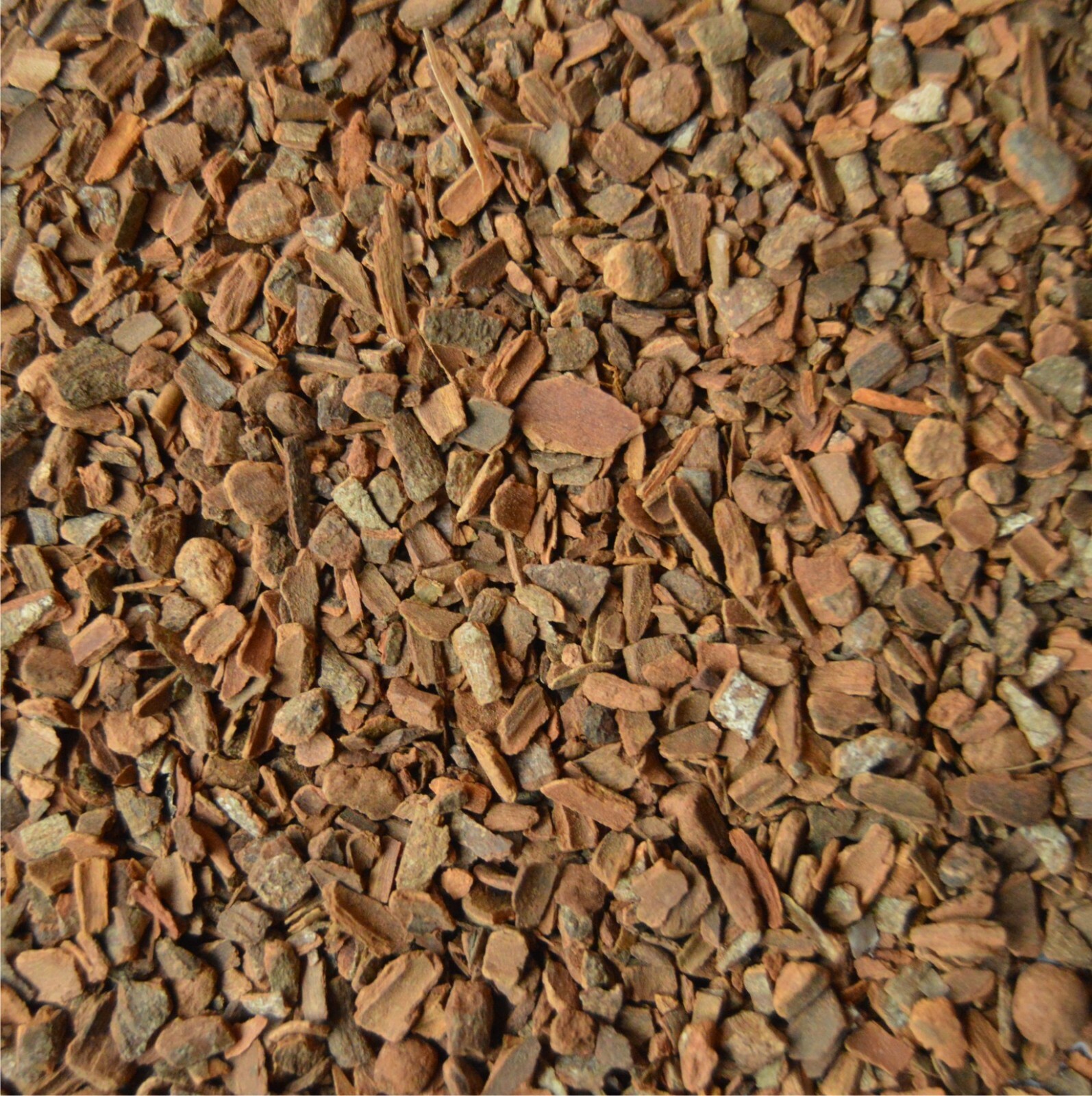 CINNAMON – [Cinnamomum L.] – shredded bark strips – 1000g (1kg)