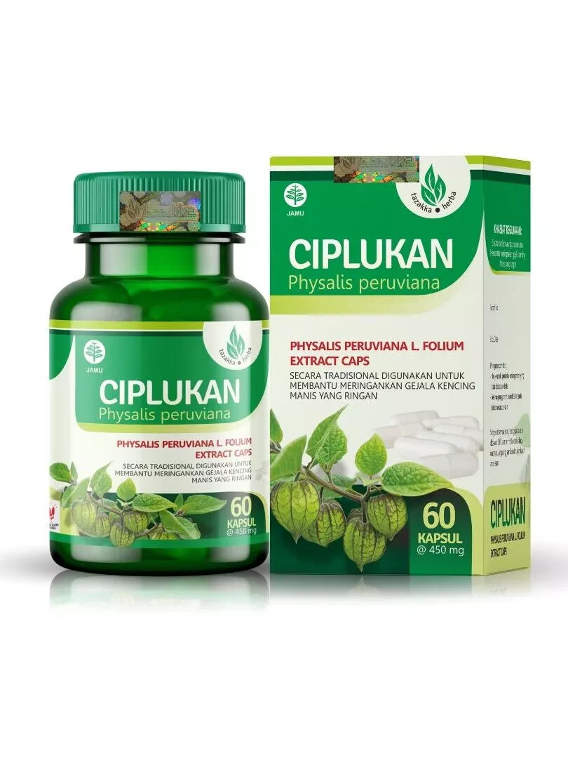 Ciplukan Fruits Extract Natural Organic Herbs Spice Fresh Pure Hygienic Premium