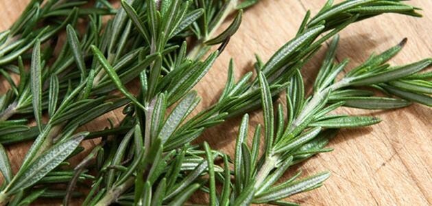 Organic Rosemary, Home Grown 100% Natural Dry Rosemary 250g اكليل الجبل مجفف