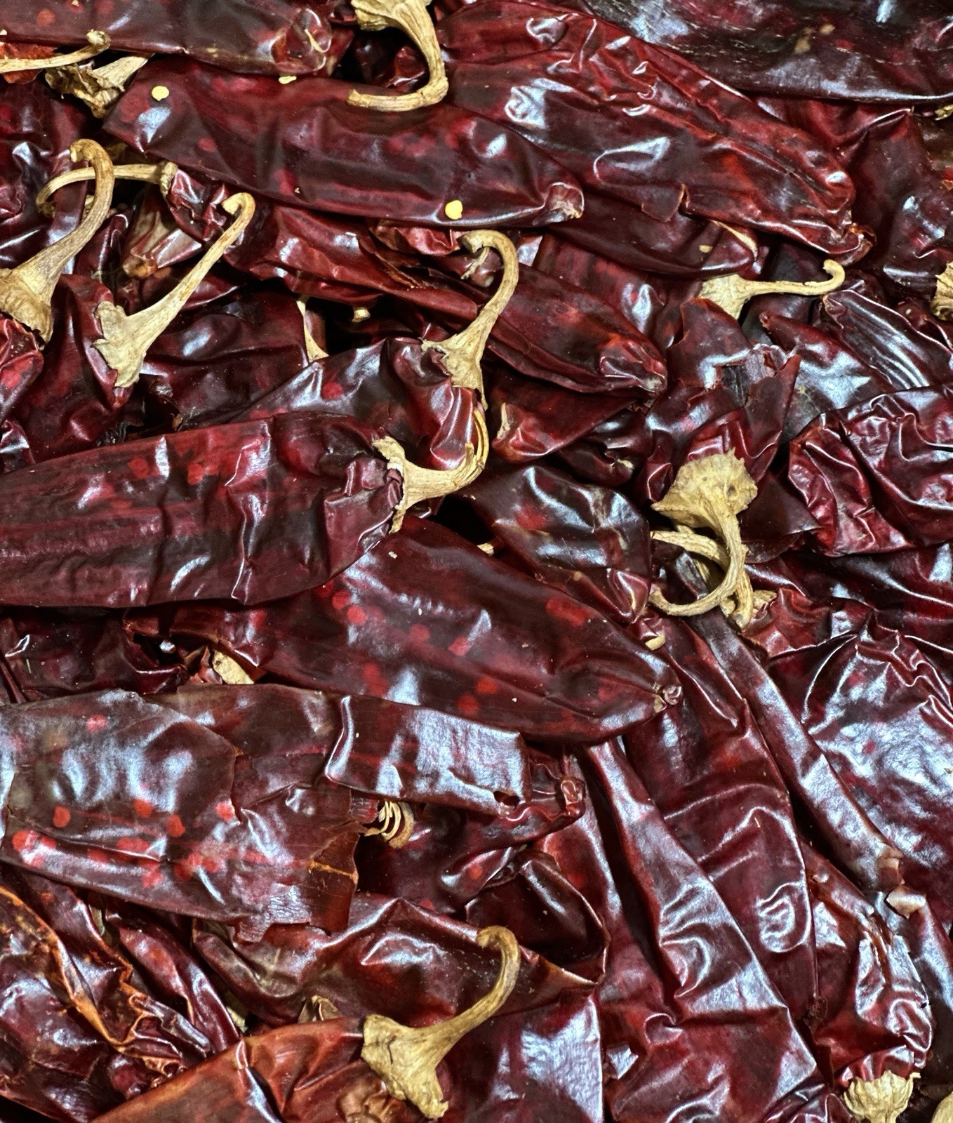 California chili Pepper 22 Lbs