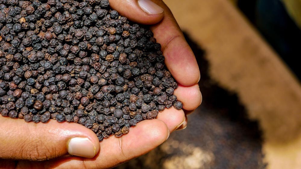 Homemade Sri Lankan Black Pepper 100% Sun Dried Ceylon Spices..
