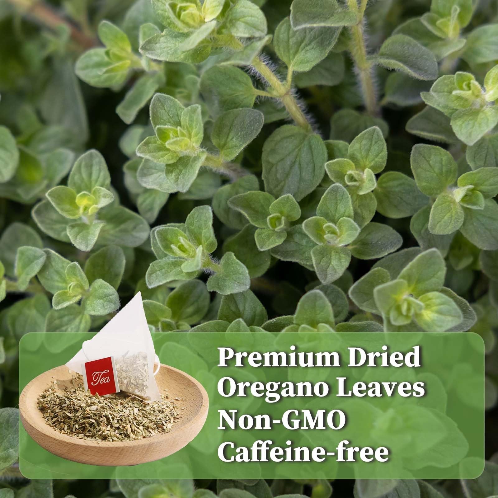 FullChea – Oregano Tea Bags, 30 Count, Dried 30 Count (Pack of 1)