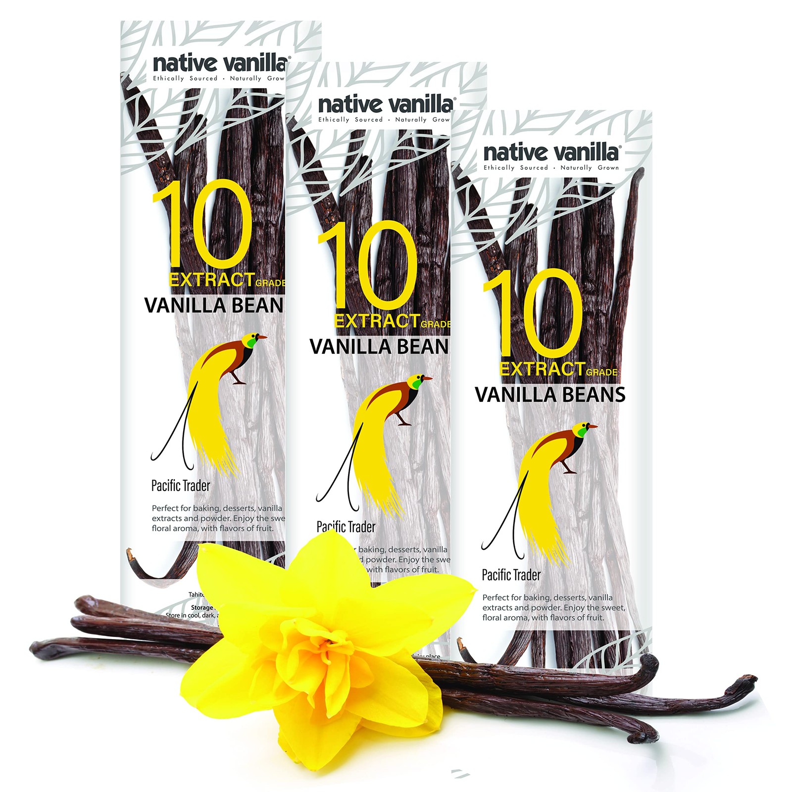 Tahitian Vanilla Beans – Grade B Pods for Extract, Baking, Vegan, Non-GMO, Ko…