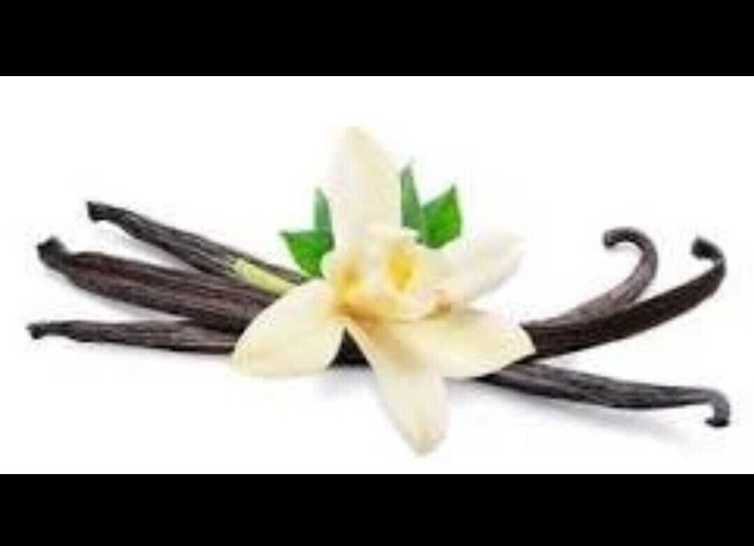 VANILLA KOSHER ORGANIC Beans Madagascar Vanilla Beans 8 oz Grade A 1st Quality