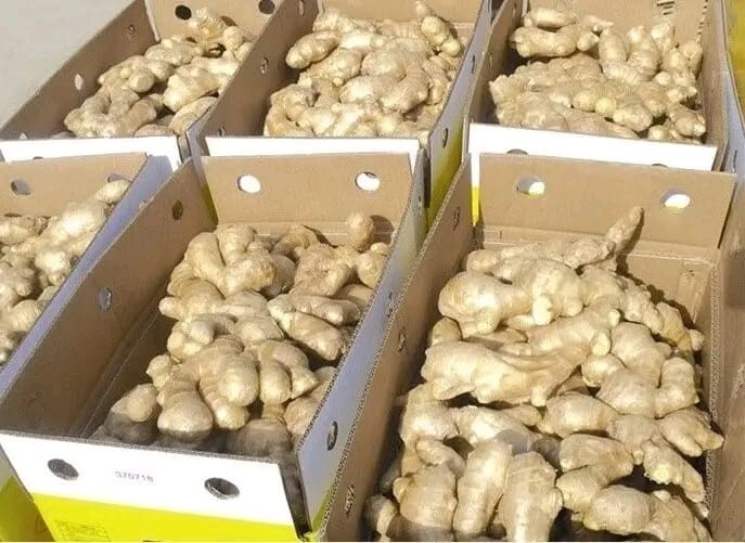 Dried Ginger root Slices Jiang jengibre zenzero Tea Ceylon Organic Free shipping