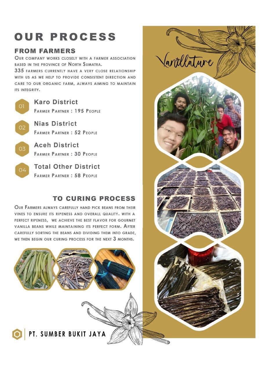 1 Kg Gourmet Papua Grade A Bourbon Planifolia Fresh Vanilla Beans – Vanillature