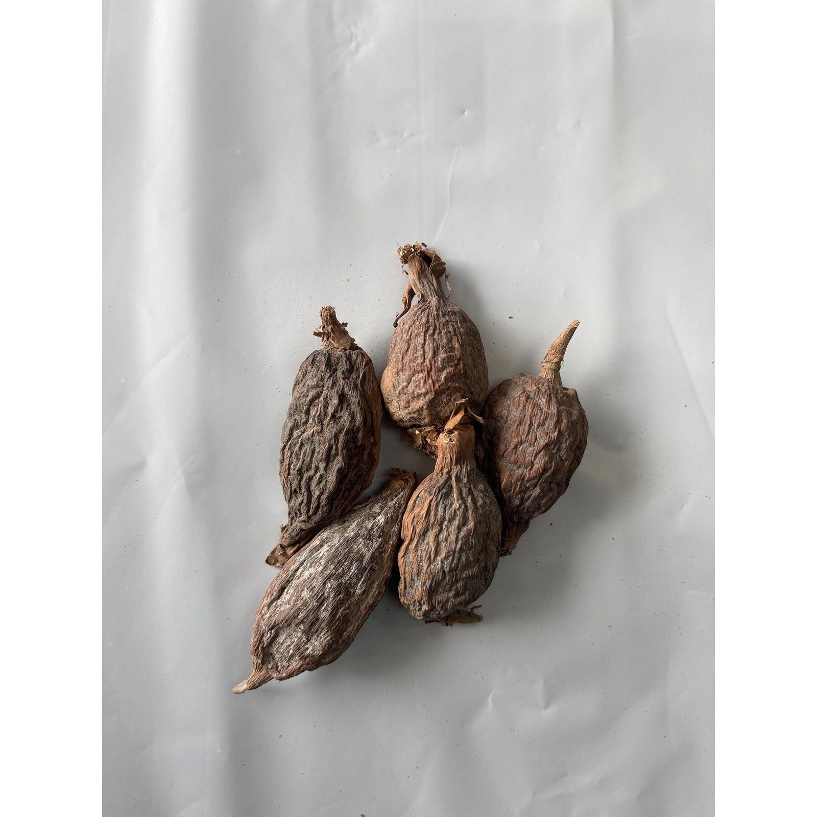 African alligator pepper atare, paradise pod, Guinea pepper, Mbongo spice 5 Pods