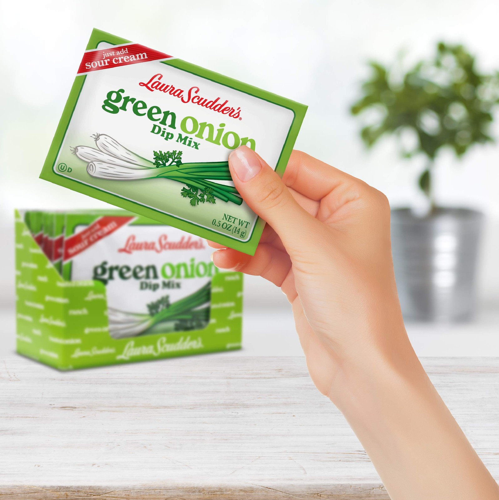 Laura Scudders Green Onion Dry Dip Mix and Seasoning – Great For 4 X 14 Grams