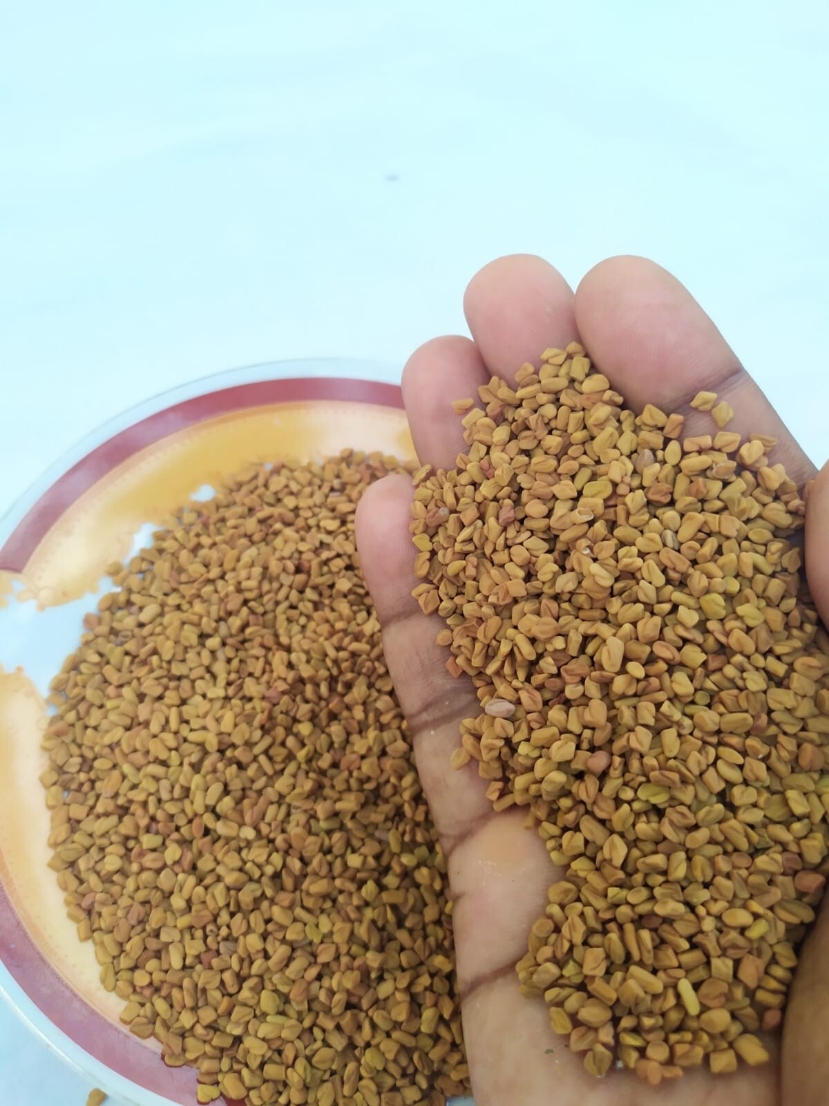 Ceylon Organic FENUGREEK Seeds Whole, Quality Pure Natural Spices Freeshipping