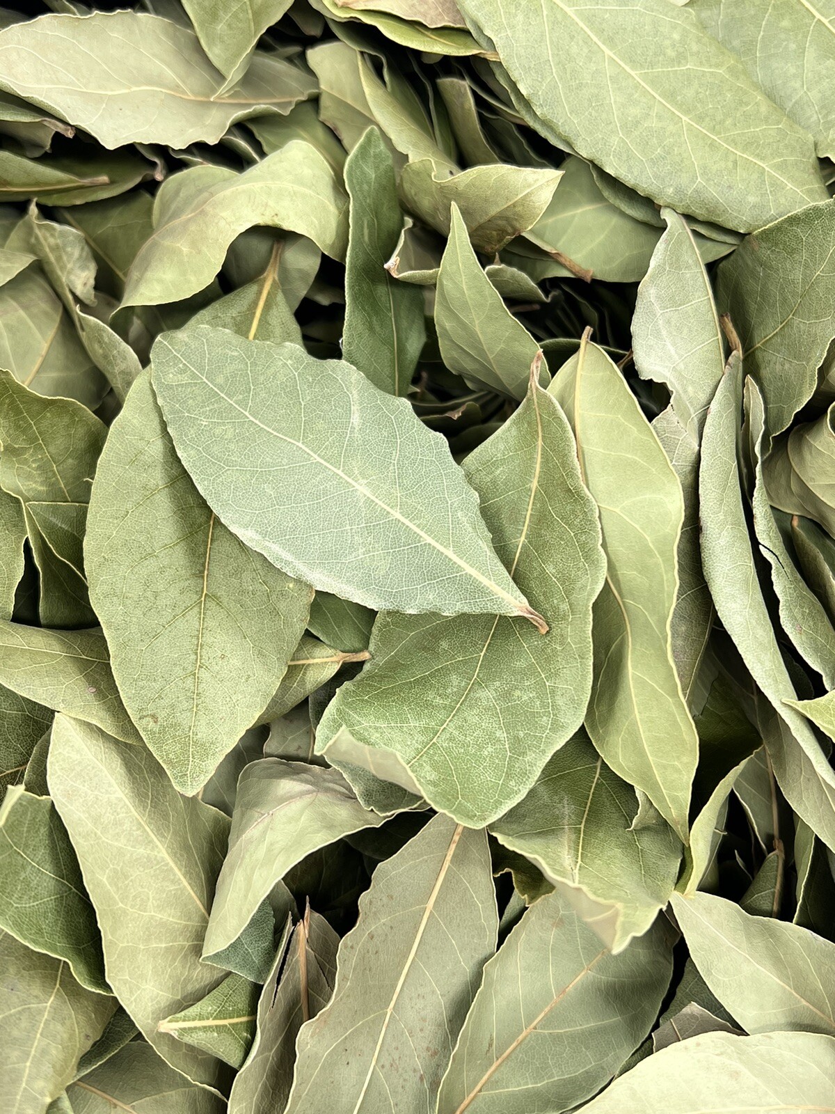 Bay Leaf Dried Cut Leaves Organic Laurus Nobilis 100% Culinary 1 OZ