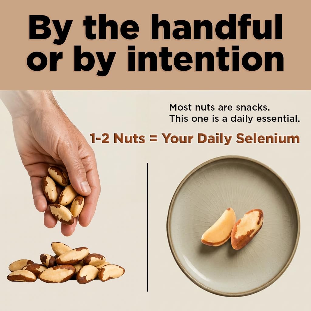 Premium Wild Harvested Raw Brazil Nuts 1 lb High Selenium