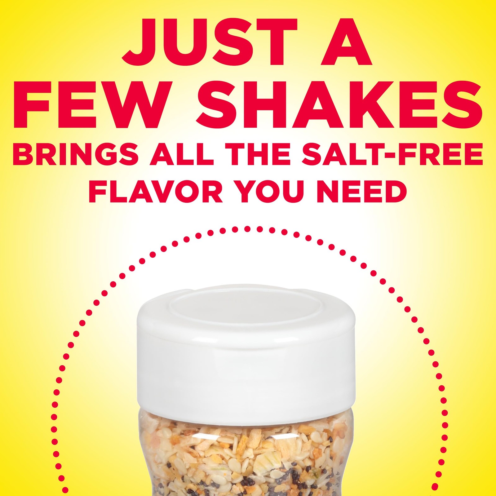 Dash Salt-Free 2.6 Ounce (Pack of 1), Everything But the Salt Seasoning Blend
