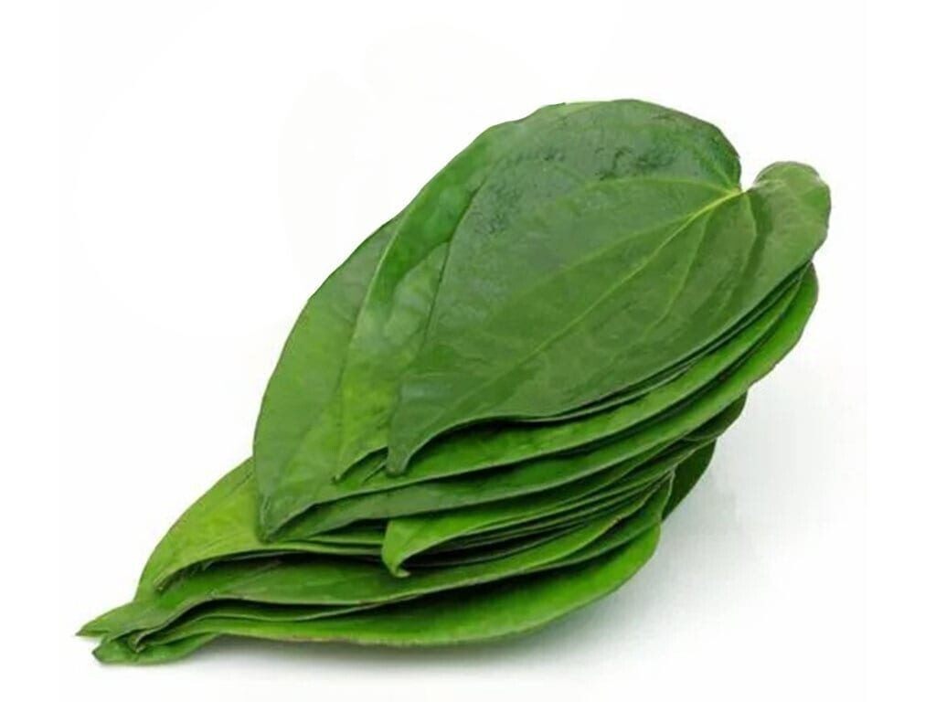 Ceylon Betel Leaves Pure 100% Herbal Healthy Organic Natural Fresh Dried Piper.