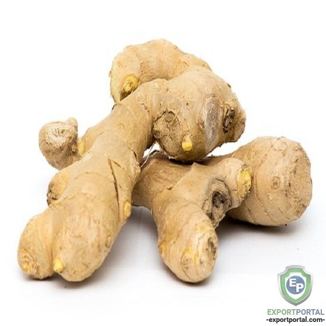 Ginger Organic Dried Root Natural Quality Pure Ceylon Premium 100% Spice Slices