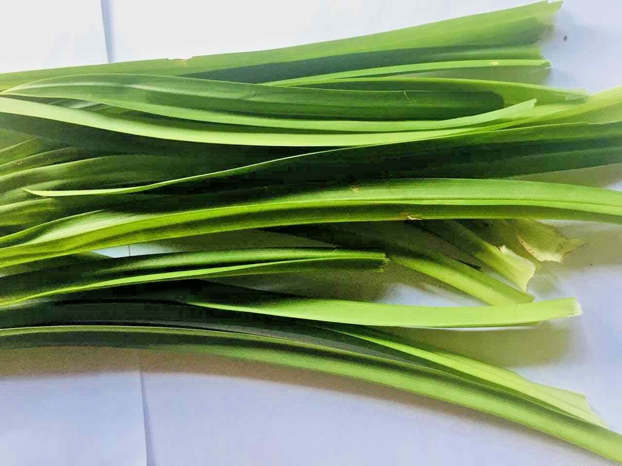 Dried Pandan Leaves rampe 100% pure organic sri lankan product sun dried 30g