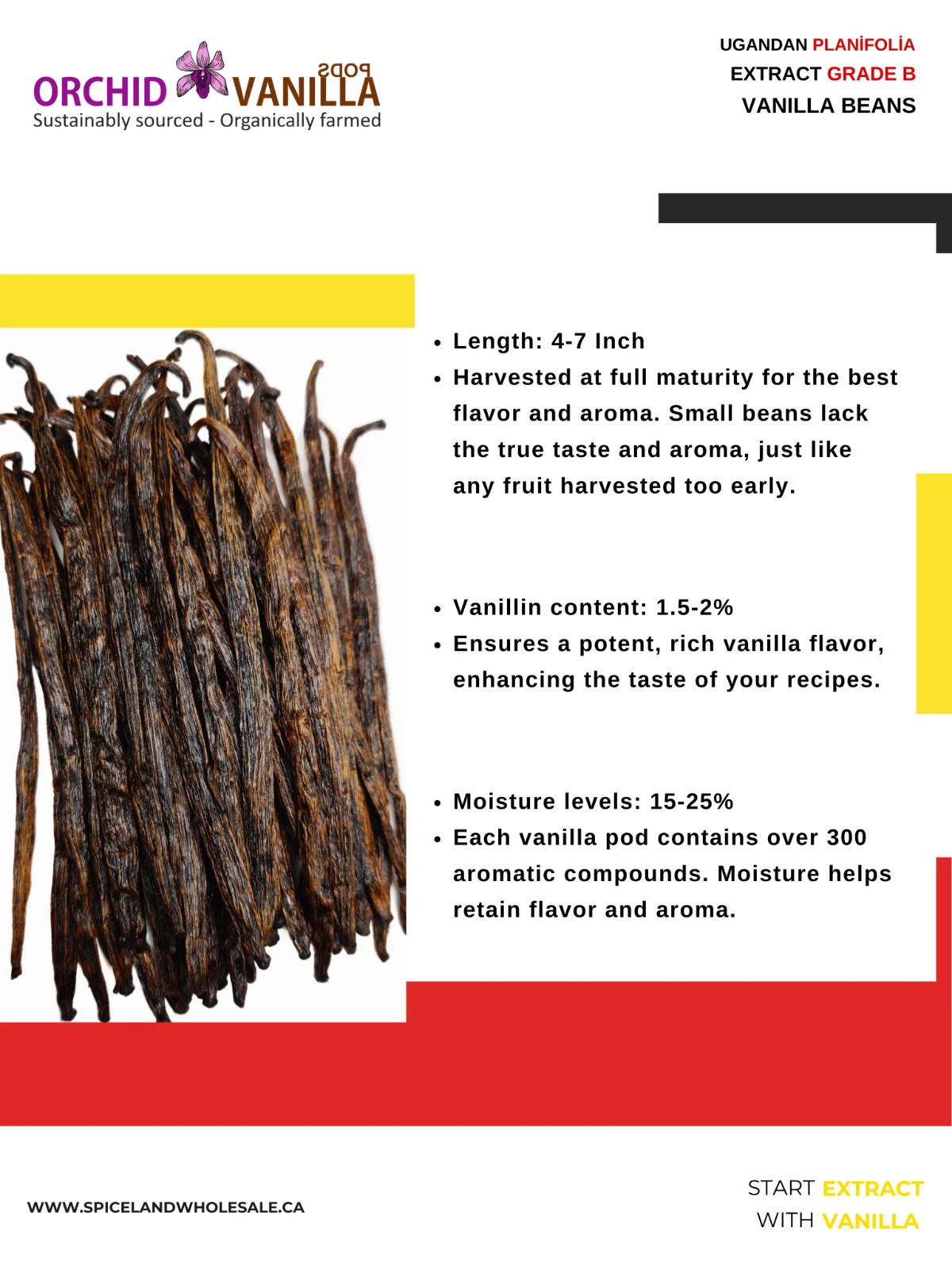 Vanilla Beans Ugandan Grade B Extract Quality 5-7″ by Ounce