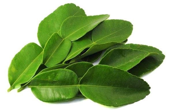 Fresh Kaffir Lime Leaves Organic | Picked When Order | 50g , 100g , 150g , 200g