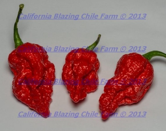 Carolina Reaper/ Moruga Scorpion/ Ghost Pepper PEANUTS~7 OUNCE OF INFERNO NUTS.