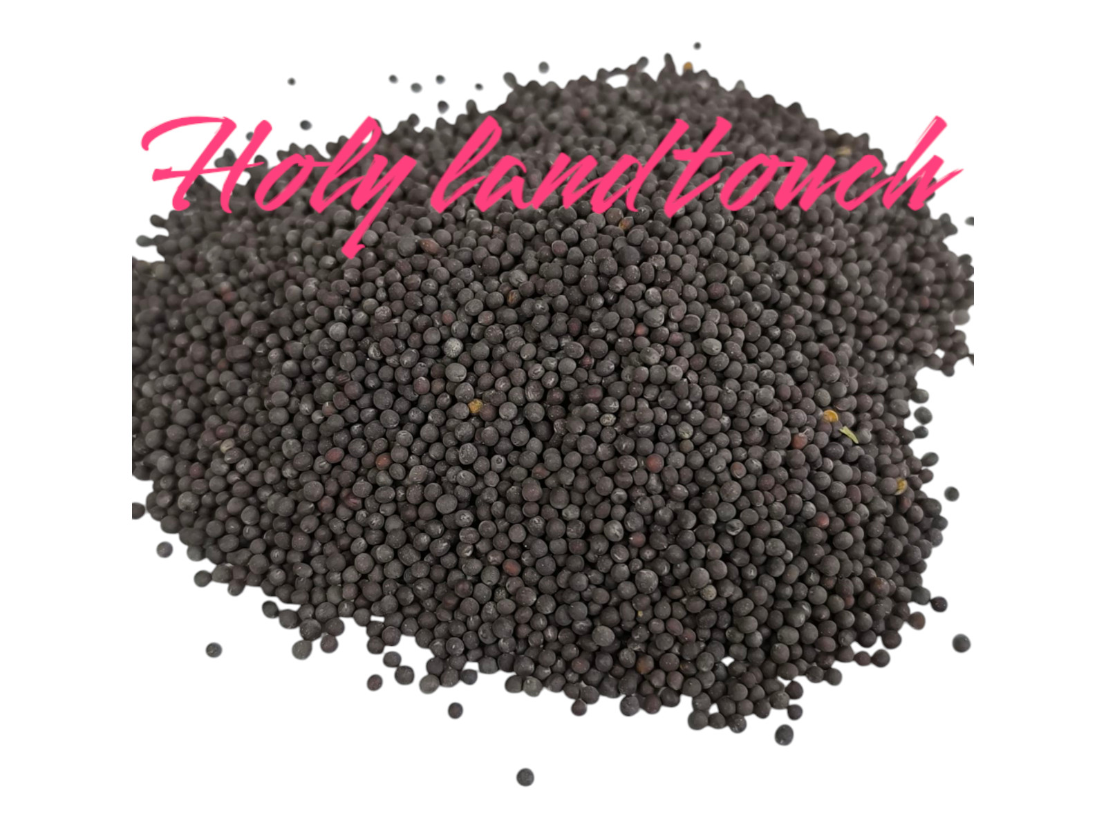 Premium Black Mustard Seeds 80g Natural Whole Spice for Cooking and Pickling