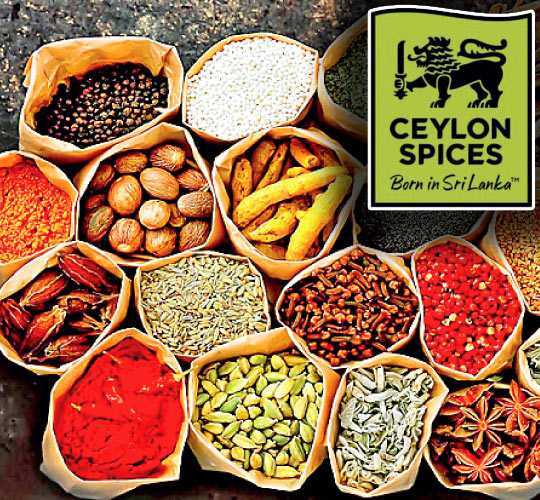 Ceylon Organic Spices: True Cinnamon, Pepper, Cardamom, Cloves, Curry Powder