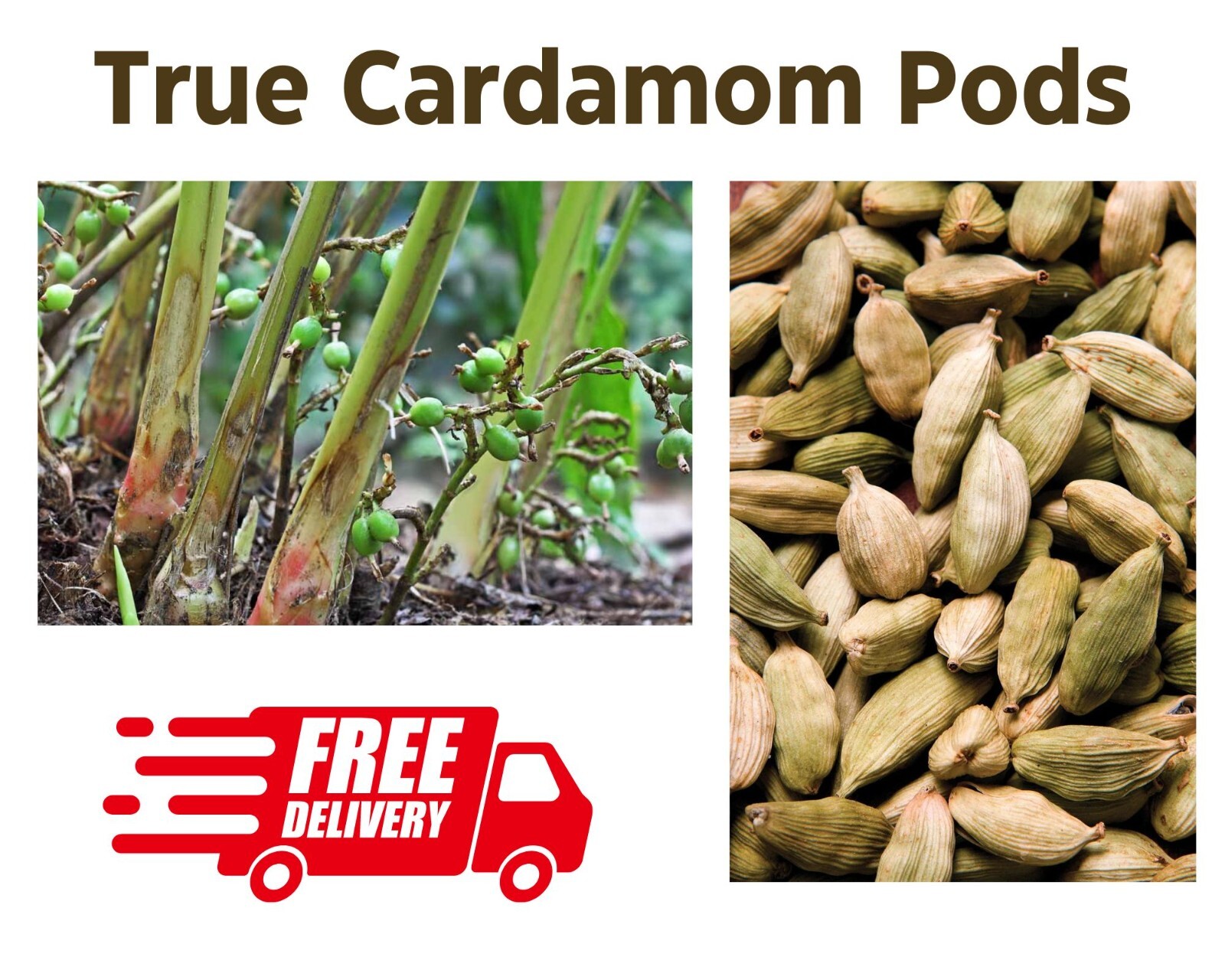 Whole True Cardamom pods seeds 100% Organic Ceylon Natural Spice High Quality50g