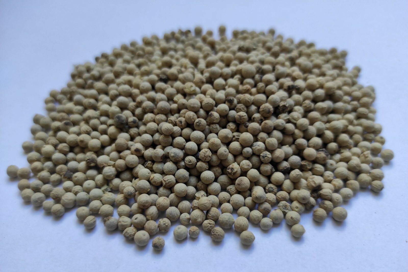 Whole White Peppercorns White Pepper 460g | Exceptional Quality