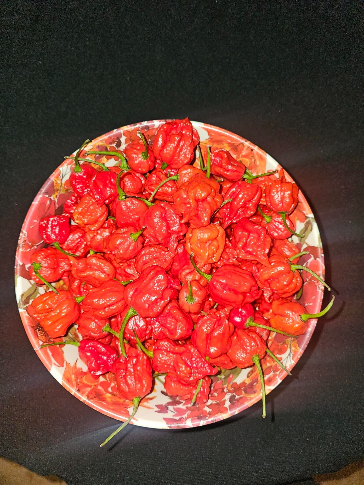 Zozoma Farms 2 Pound Fresh Carolina Reaper Chillis