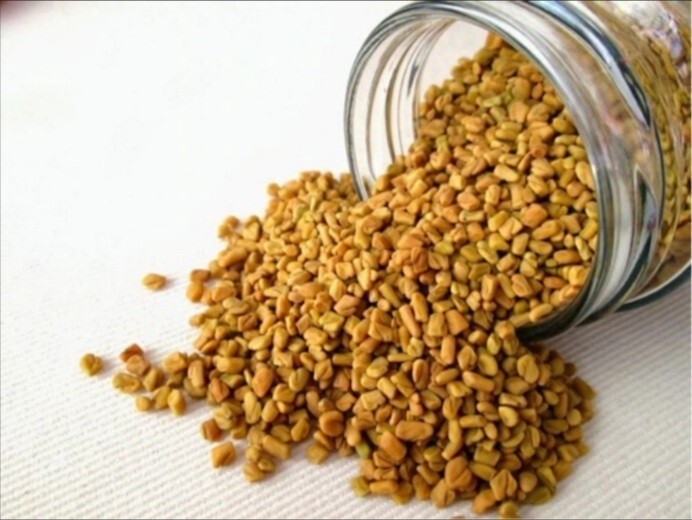 100% Pure Organic Fenugreek Seeds (Trigonella Foenum Graecum Methi) Sri Lanka