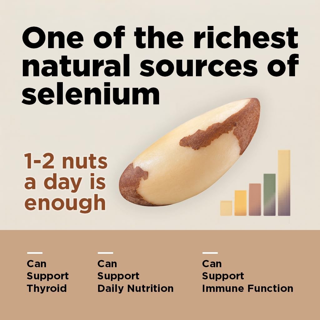 Premium Wild Harvested Raw Brazil Nuts 1 lb High Selenium