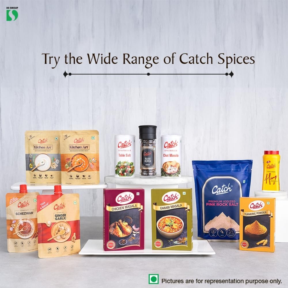 Catch Chicken Masala, 100g | Pack of 2