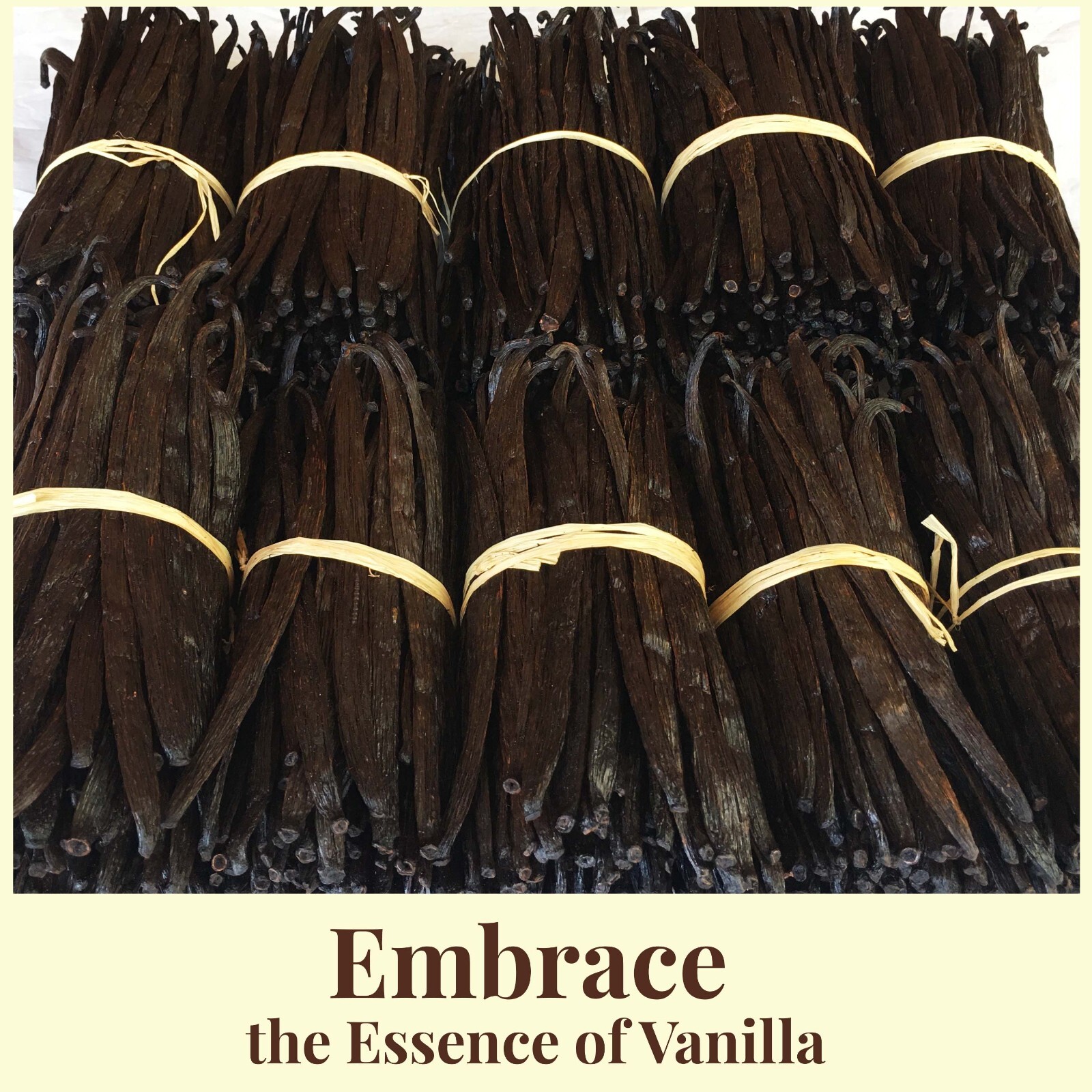 Vanilla Beans 1 Pound, Whole Grade A Bean Pods for Vanilla Extract & Baking