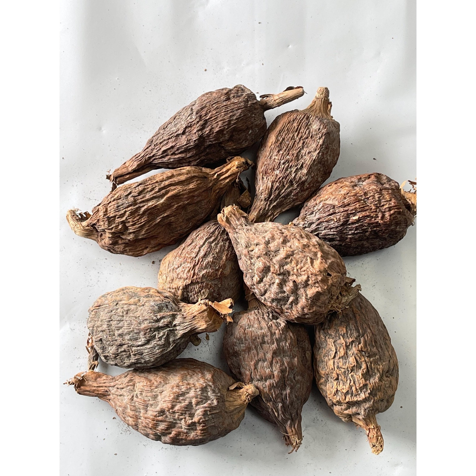 African alligator pepper atare, paradise pod, Guinea pepper, Mbongo spice 5 Pods