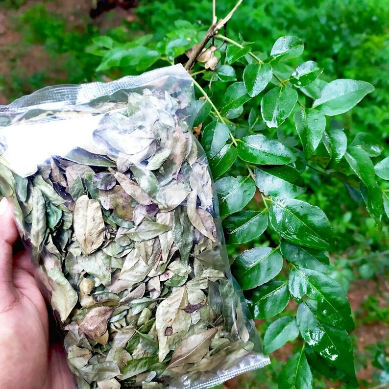 20g Dried Curry Leaves 100% Fresh Organic Spice Premium Herd Grade A Quality