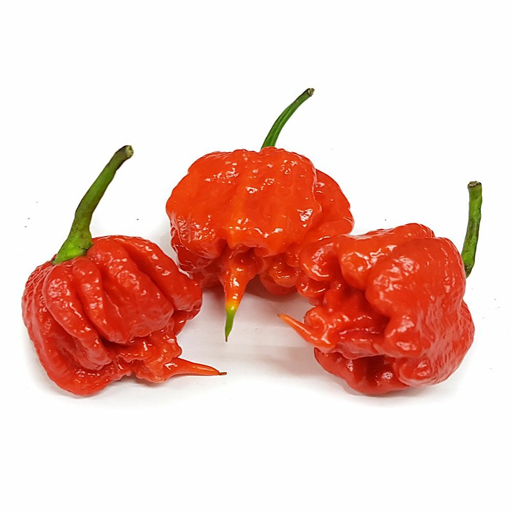 SUPER HOT Pepper Flakes Ghost, Carolina Reaper etc- 2 oz shaker bottle