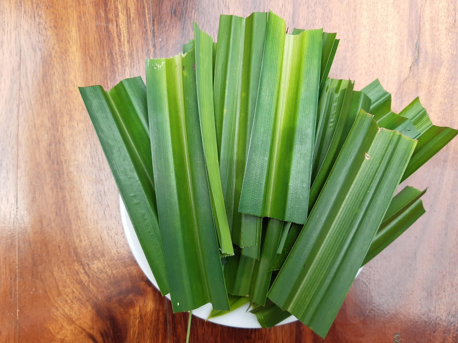 High Quality Organic Dried Dehydration Pandan Leaves