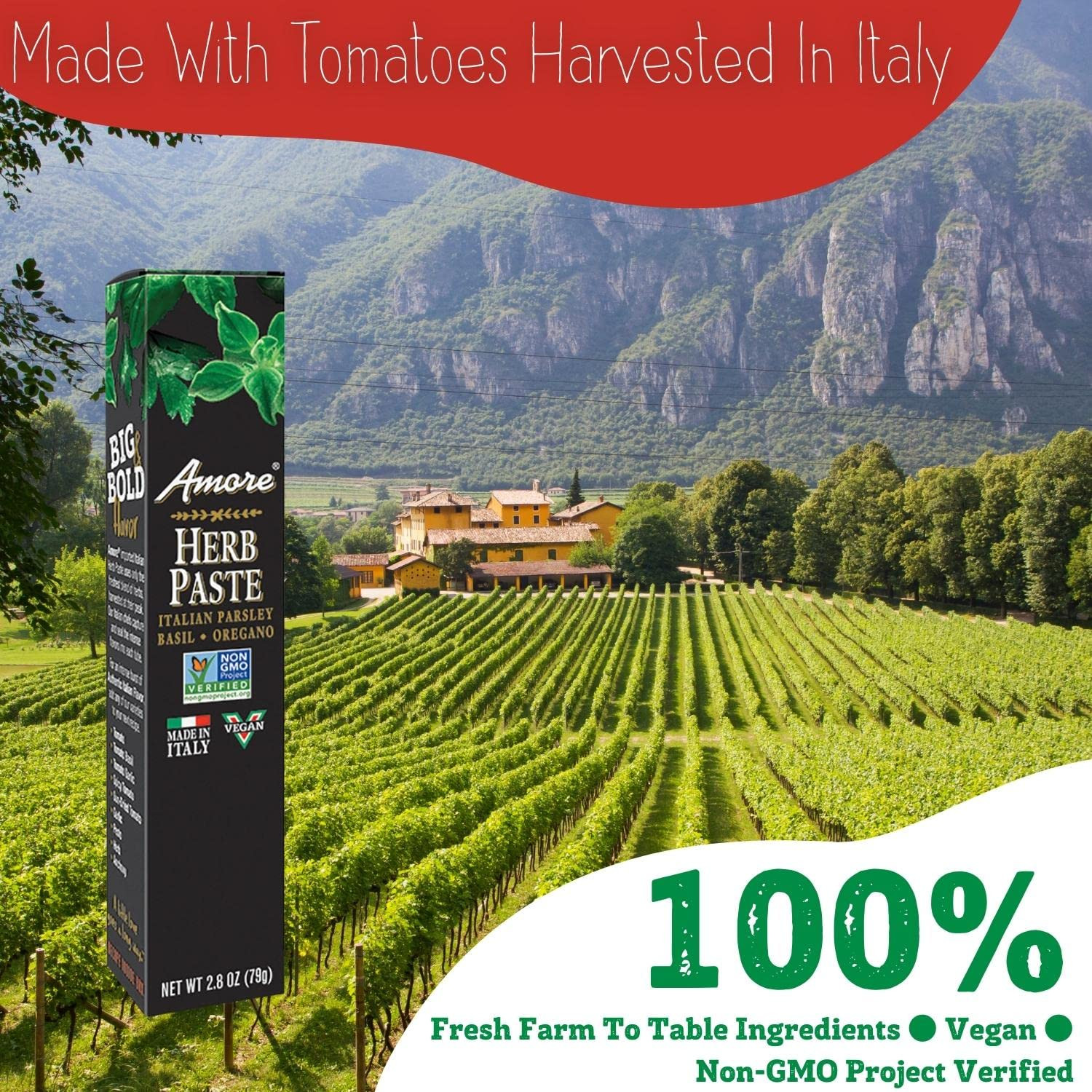 Vegan Fresh Herb Paste in a Tube – Non GMO Certified and Made in Italy (Pack of