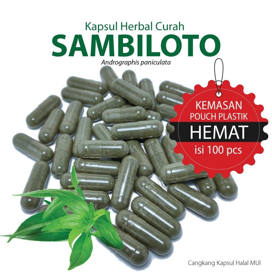 SAMBILOTO 100 Capsules Organic Herbs Spices Fresh Pure Hygienic Premium