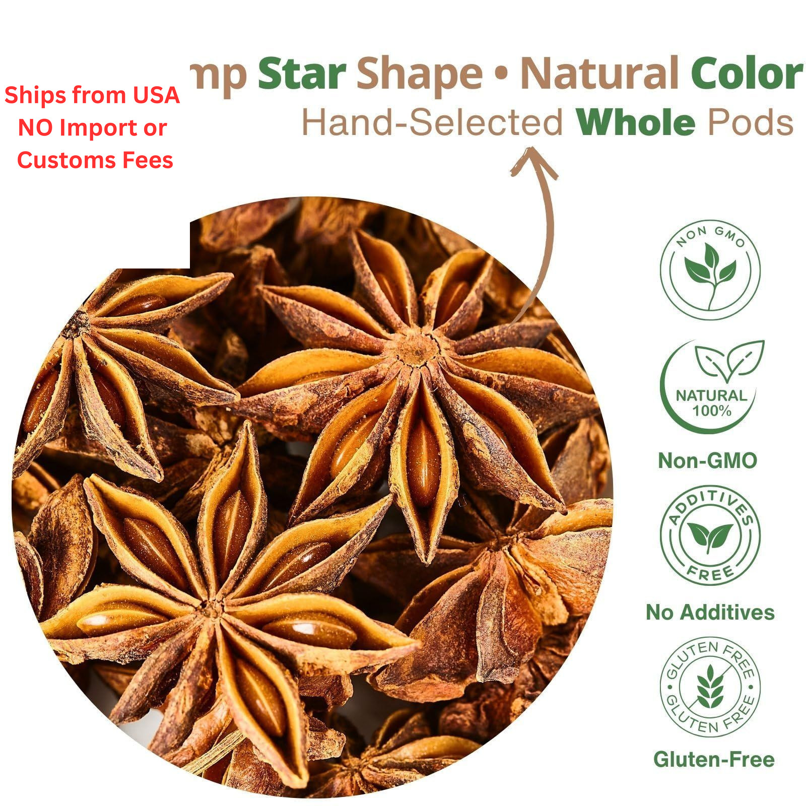 Premium Star Anise Whole – 5.3 oz (150 g) Anis Estrellado Entero, Dried Star…