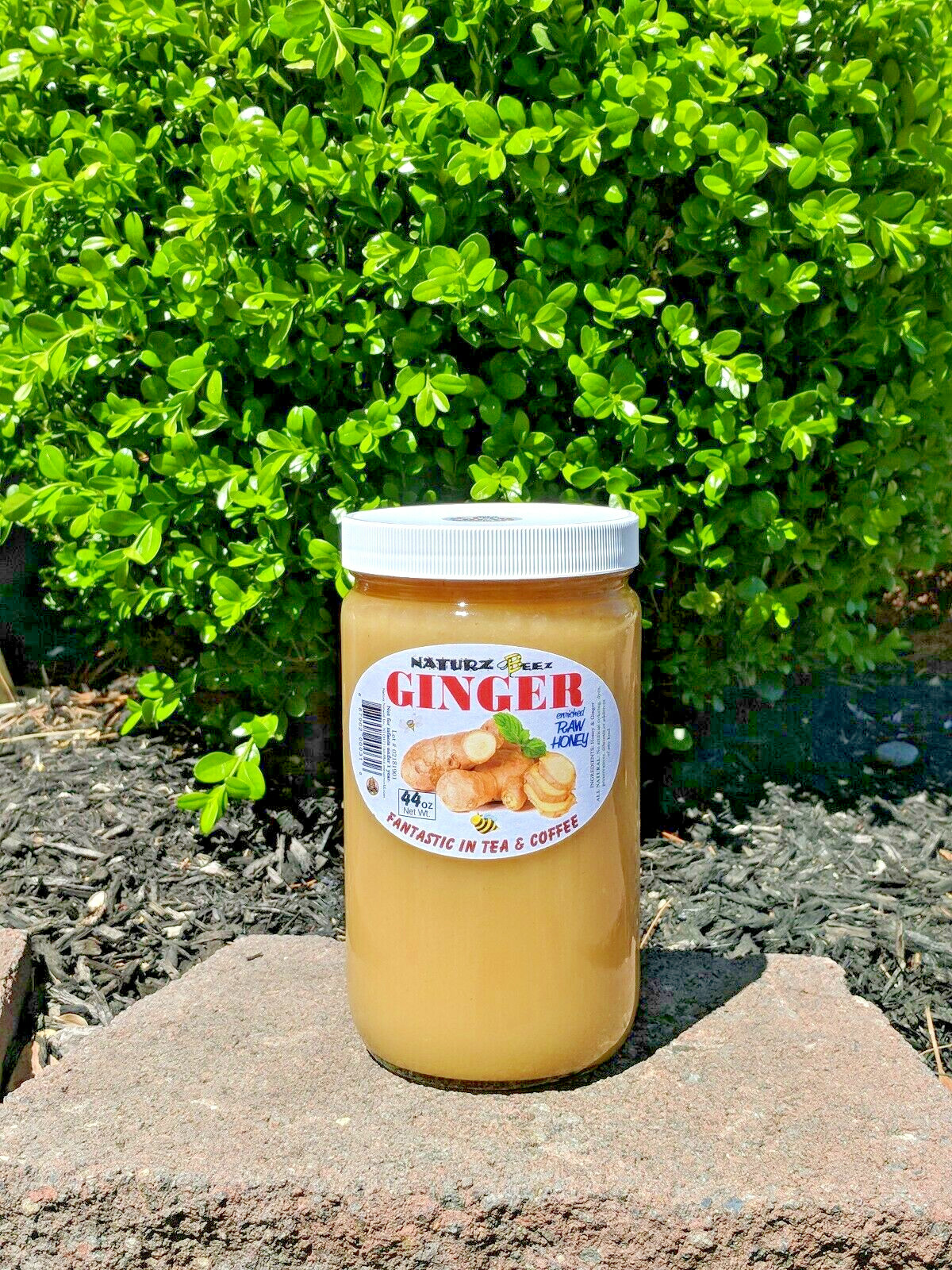 RAW HONEY with GINGER 44oz 100% PURE RAW UNFILTERED USA HONEY