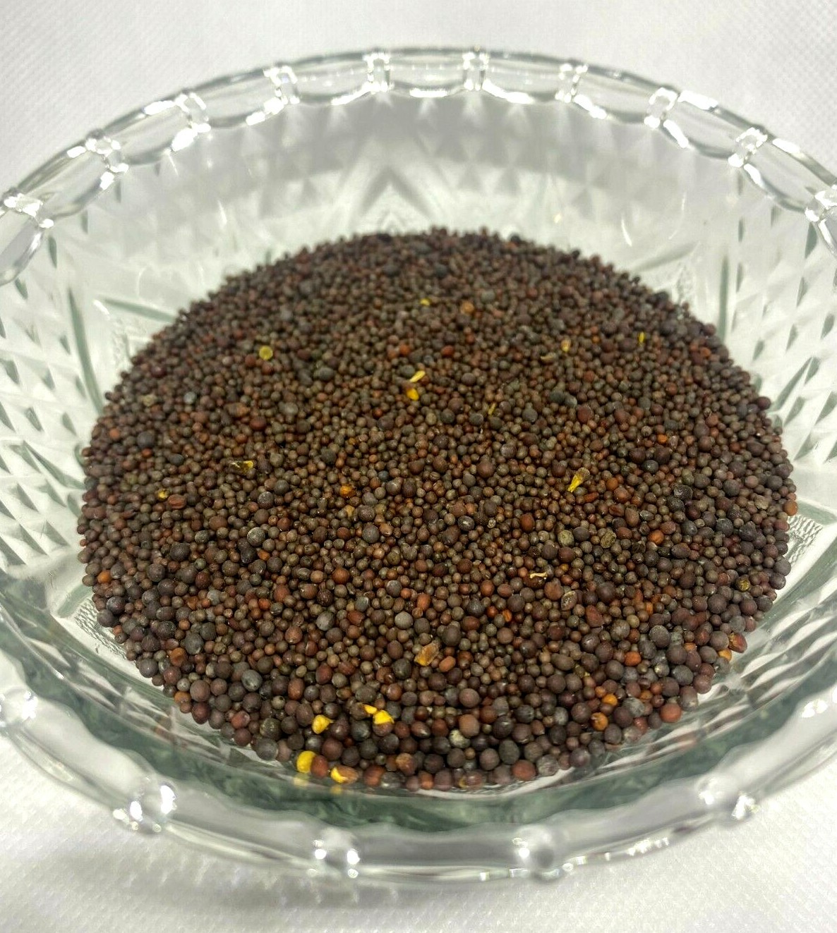 Mustard Seeds Black/Brown 100% Organic Natural Premium Quality Spices Ceylon