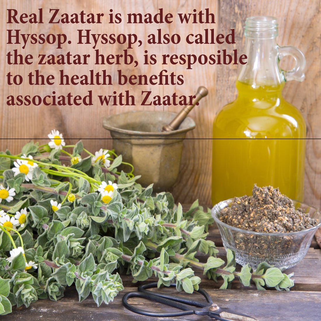 Authentic Zaatar with Hyssop – Premium Middle Eastern Spice Blend – Zatar