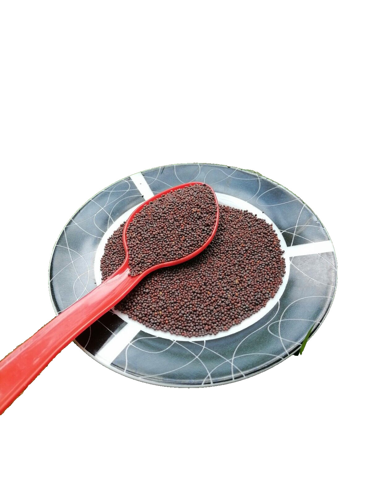 Organic Mustard Seeds Black Brown Pure Natural Premium Quality Ceylon Spice